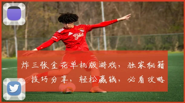 炸三张金花单机版游戏，独家秘籍，技巧分享，轻松赢钱，必看攻略